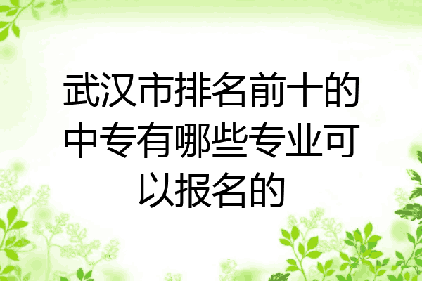 武汉市排名前十的中专有哪些专业可以报名的