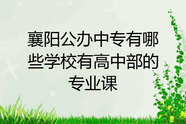 襄阳公办中专有哪些学校有高中部的专业课