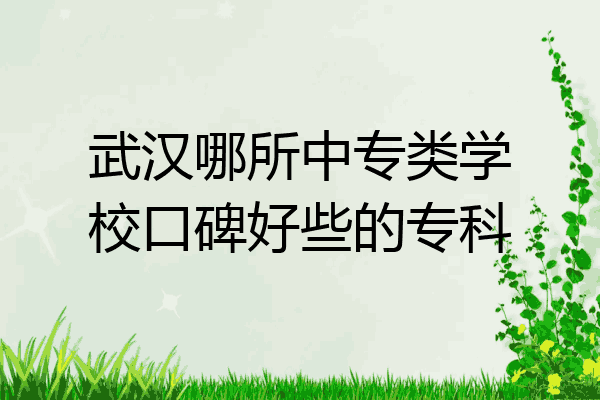 武汉哪所中专类学校口碑好些的专科
