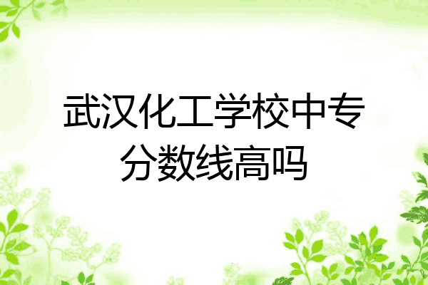 武汉化工学校中专分数线高吗