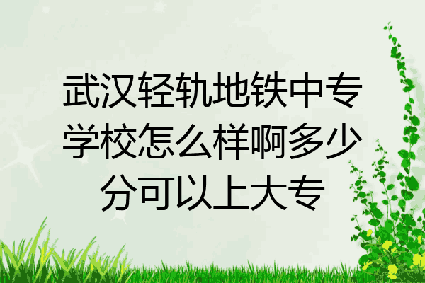 武汉轻轨地铁中专学校怎么样啊多少分可以上大专