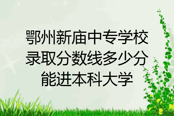 鄂州新庙中专学校录取分数线多少分能进本科大学