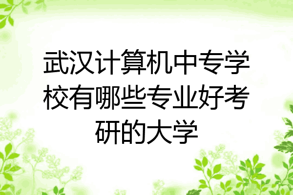 武汉计算机中专学校有哪些专业好考研的大学
