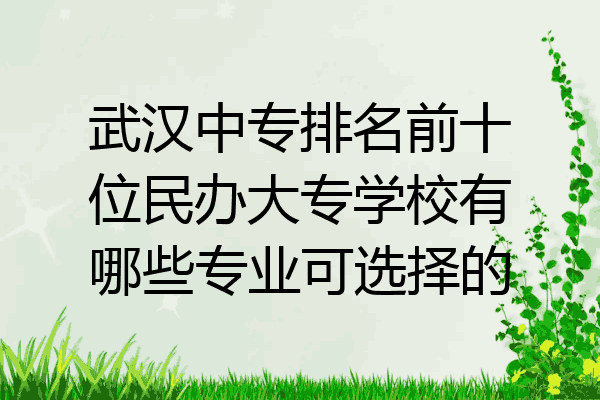 武汉中专排名前十位民办大专学校有哪些专业可选择的