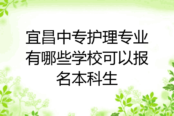 宜昌中专护理专业有哪些学校可以报名本科生