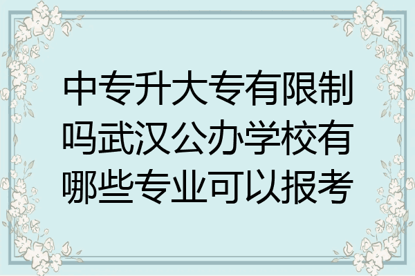 中专升大专有限制吗武汉公办学校有哪些专业可以报考