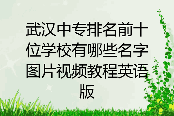 武汉中专排名前十位学校有哪些名字图片视频教程英语版