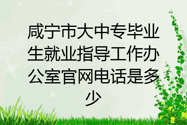 咸宁市大中专毕业生就业指导工作办公室官网电话是多少