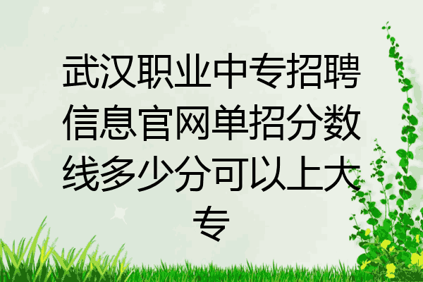武汉职业中专招聘信息官网单招分数线多少分可以上大专