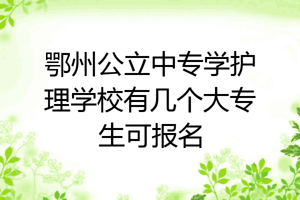 鄂州公立中专学护理学校有几个大专生可报名