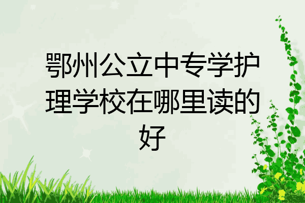 鄂州公立中专学护理学校在哪里读的好