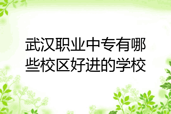 武汉职业中专有哪些校区好进的学校