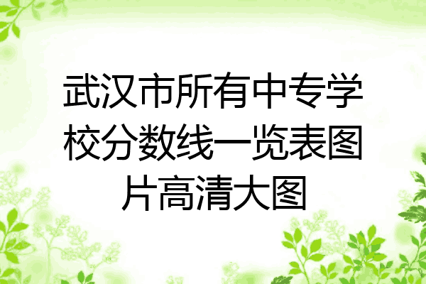 武汉市所有中专学校分数线一览表图片高清大图