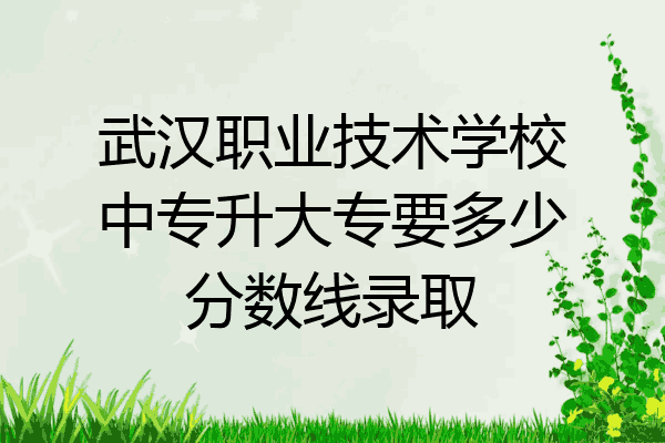 武汉职业技术学校中专升大专要多少分数线录取