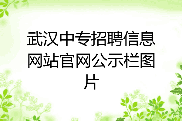 武汉中专招聘信息网站官网公示栏图片