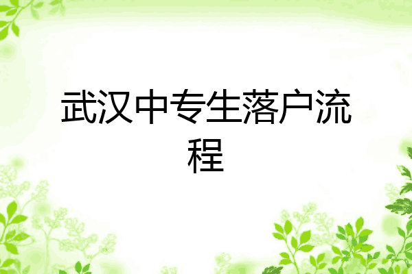 武汉中专生落户流程