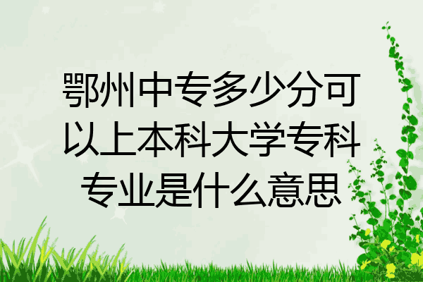 鄂州中专多少分可以上本科大学专科专业是什么意思