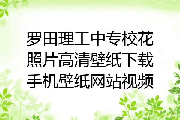 罗田理工中专校花照片高清壁纸下载手机壁纸网站视频