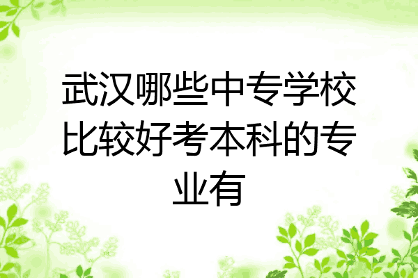 武汉哪些中专学校比较好考本科的专业有