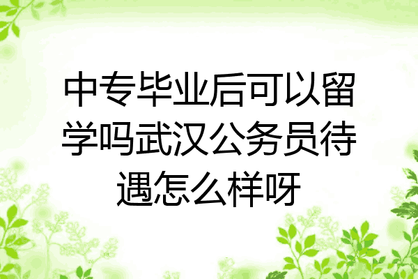 中专毕业后可以留学吗武汉公务员待遇怎么样呀