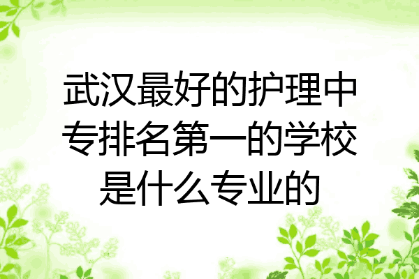 武汉最好的护理中专排名第一的学校是什么专业的