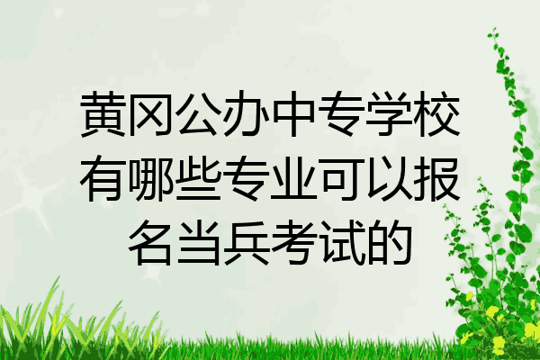 黄冈公办中专学校有哪些专业可以报名当兵考试的