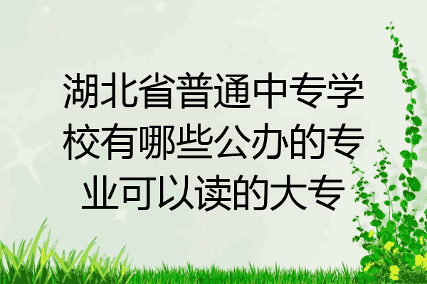 湖北省普通中专学校有哪些公办的专业可以读的大专