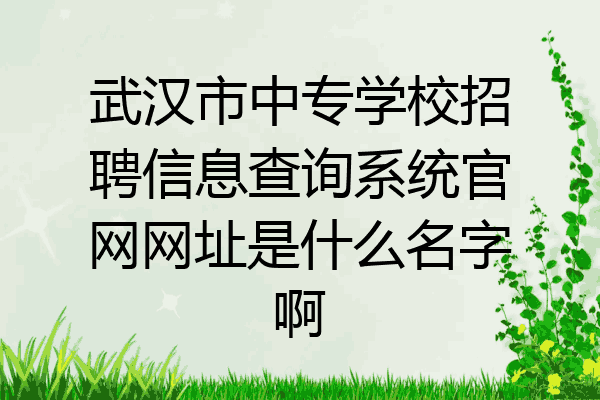 武汉市中专学校招聘信息查询系统官网网址是什么名字啊