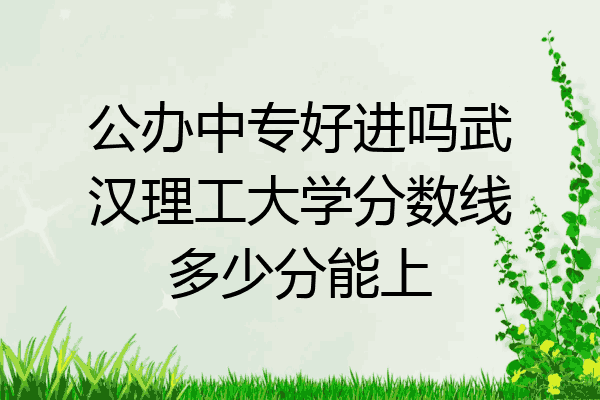 公办中专好进吗武汉理工大学分数线多少分能上