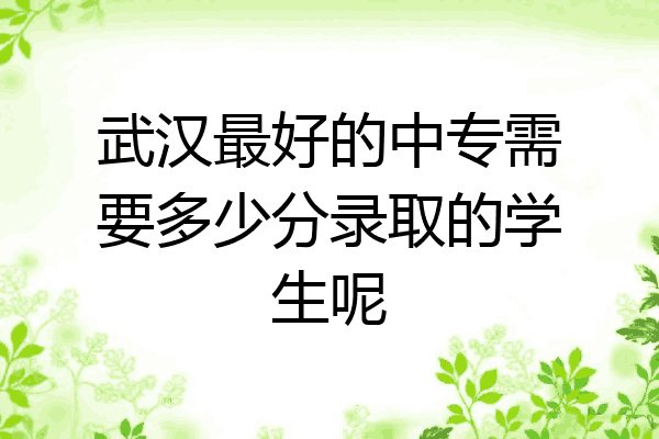 武汉最好的中专需要多少分录取的学生呢