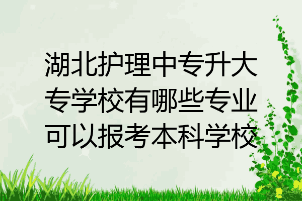 湖北护理中专升大专学校有哪些专业可以报考本科学校