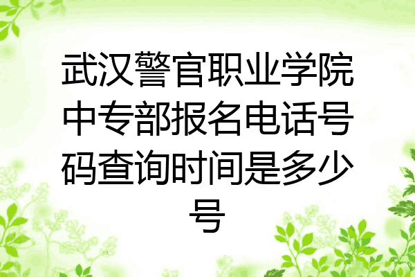 武汉警官职业学院中专部报名电话号码查询时间是多少号