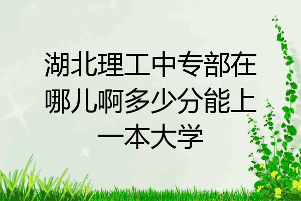 湖北理工中专部在哪儿啊多少分能上一本大学