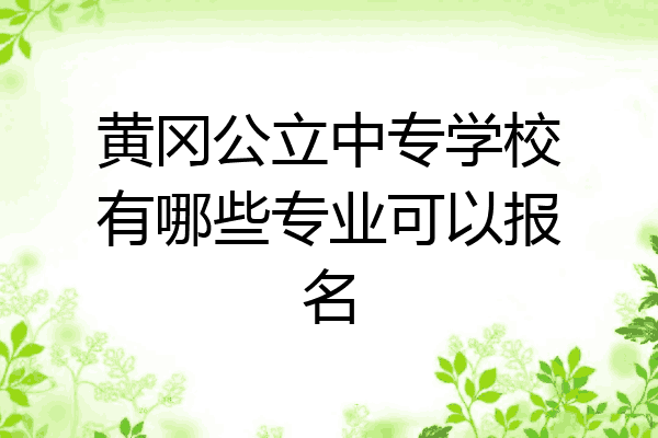 黄冈公立中专学校有哪些专业可以报名