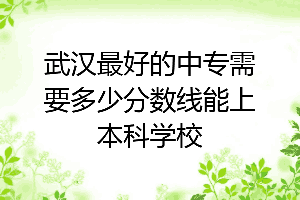 武汉最好的中专需要多少分数线能上本科学校