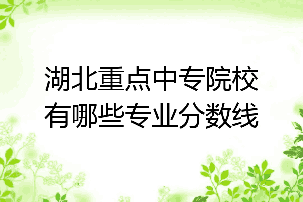 湖北重点中专院校有哪些专业分数线