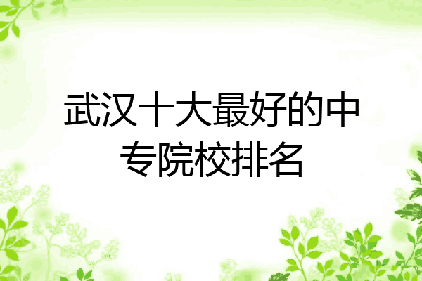 武汉十大最好的中专院校排名