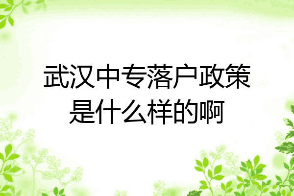 武汉中专落户政策是什么样的啊