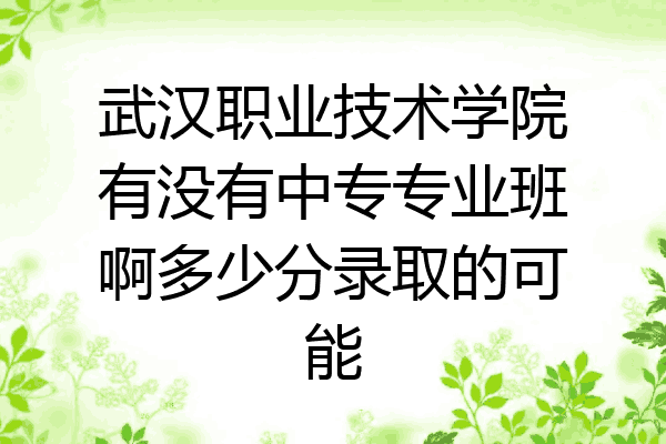 武汉职业技术学院有没有中专专业班啊多少分录取的可能