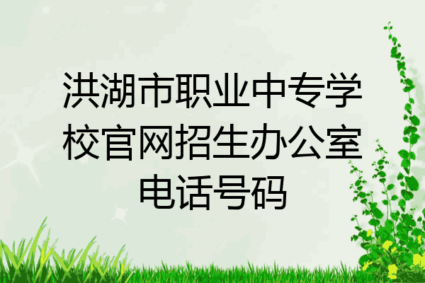 洪湖市职业中专学校官网招生办公室电话号码