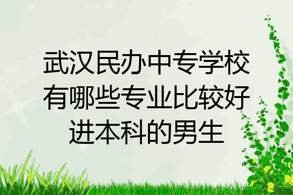 武汉民办中专学校有哪些专业比较好进本科的男生