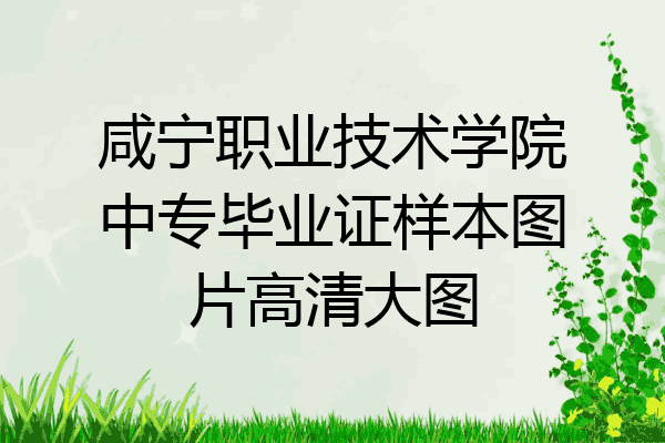 咸宁职业技术学院中专毕业证样本图片高清大图