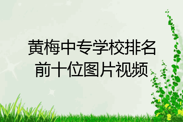 黄梅中专学校排名前十位图片视频