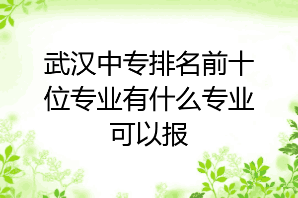 武汉中专排名前十位专业有什么专业可以报
