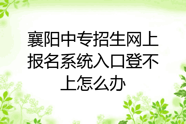 襄阳中专招生网上报名系统入口登不上怎么办