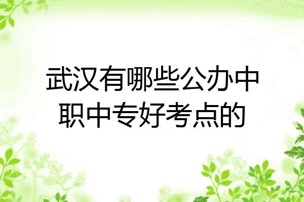 武汉有哪些公办中职中专好考点的