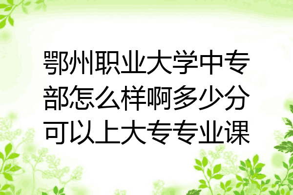 鄂州职业大学中专部怎么样啊多少分可以上大专专业课