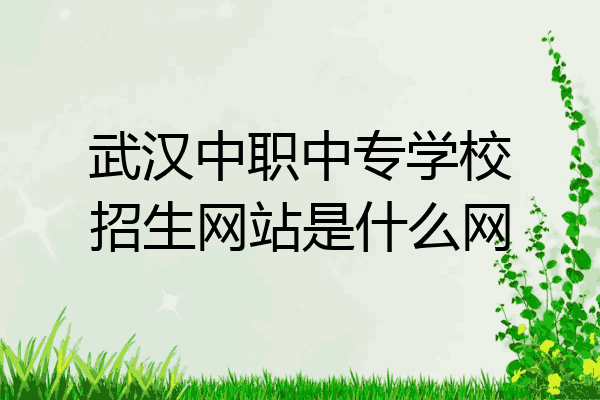 武汉中职中专学校招生网站是什么网