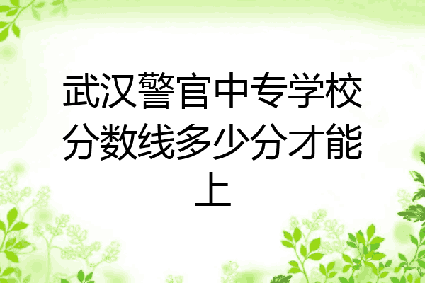 武汉警官中专学校分数线多少分才能上