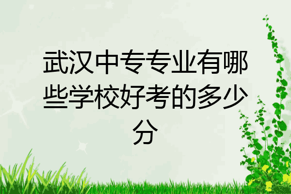 武汉中专专业有哪些学校好考的多少分